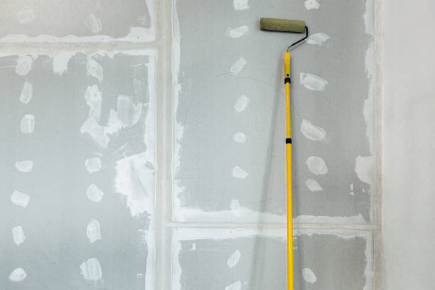 Best Residential Mold Inspection & Testing  in Tahoka, TX