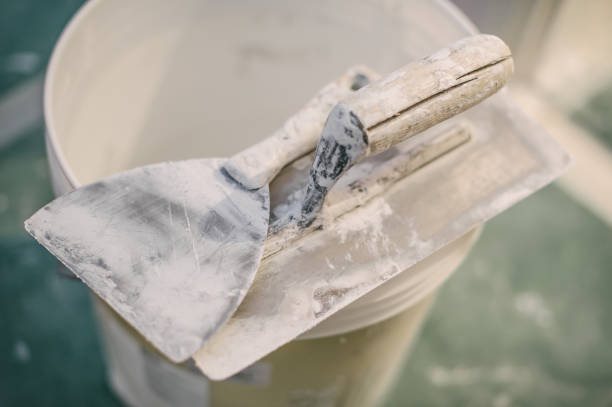 Best Mold Remediation for Healthcare Facilities  in Tahoka, TX