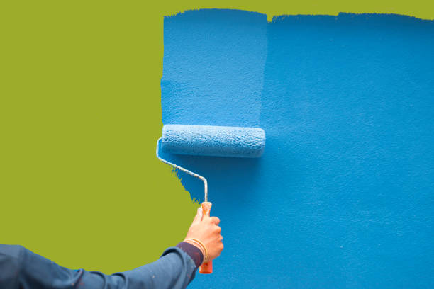 Best Basement Mold Removal  in Tahoka, TX