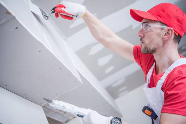 Best Mold Remediation for Vacation Homes  in Tahoka, TX